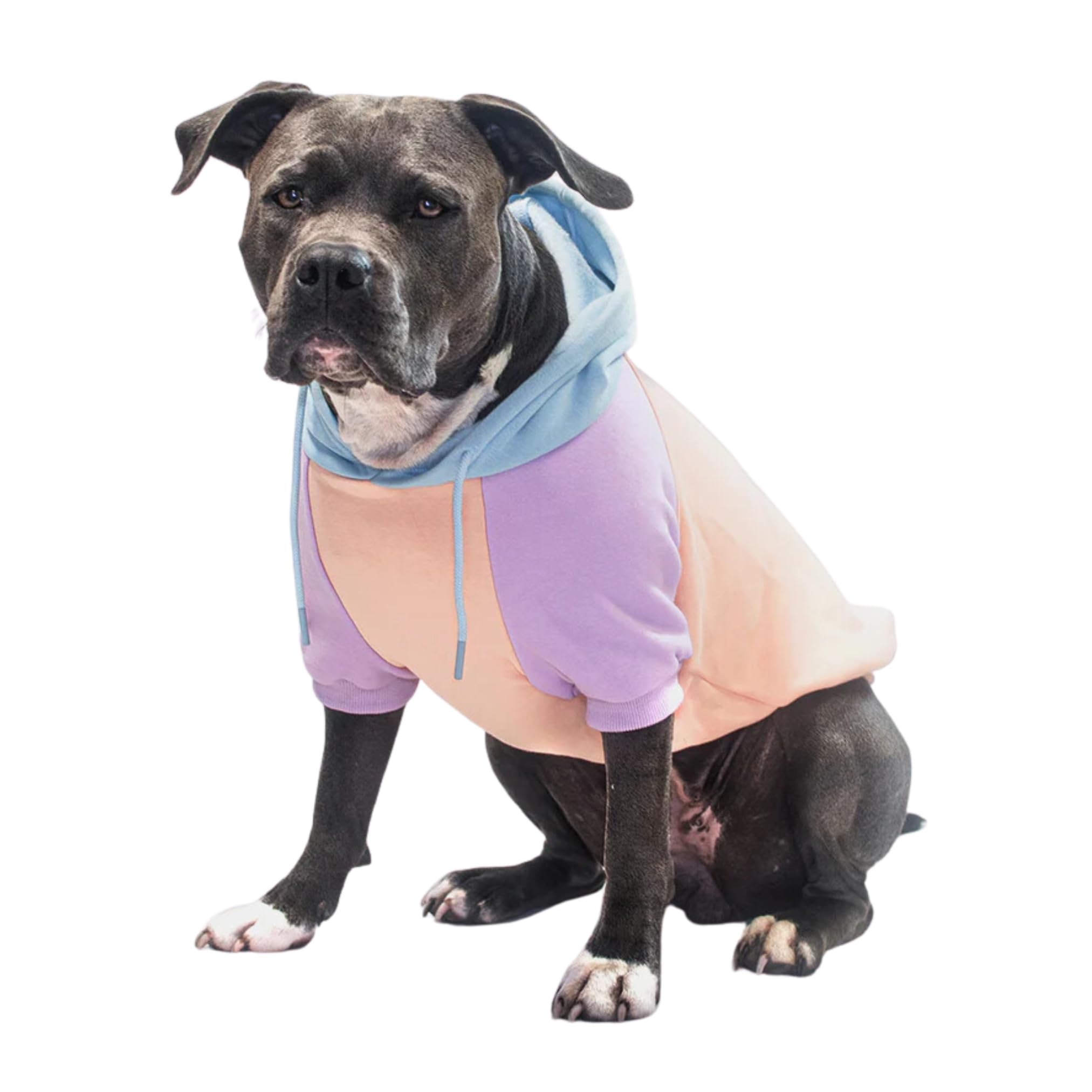 Spark Paws Dog Hoodie - Premium Quality, Buttery Soft, Superior Comfort And Fit, Calming Fleece Interior, Suitable For All Breeds - Cotton Candy - 4Xl