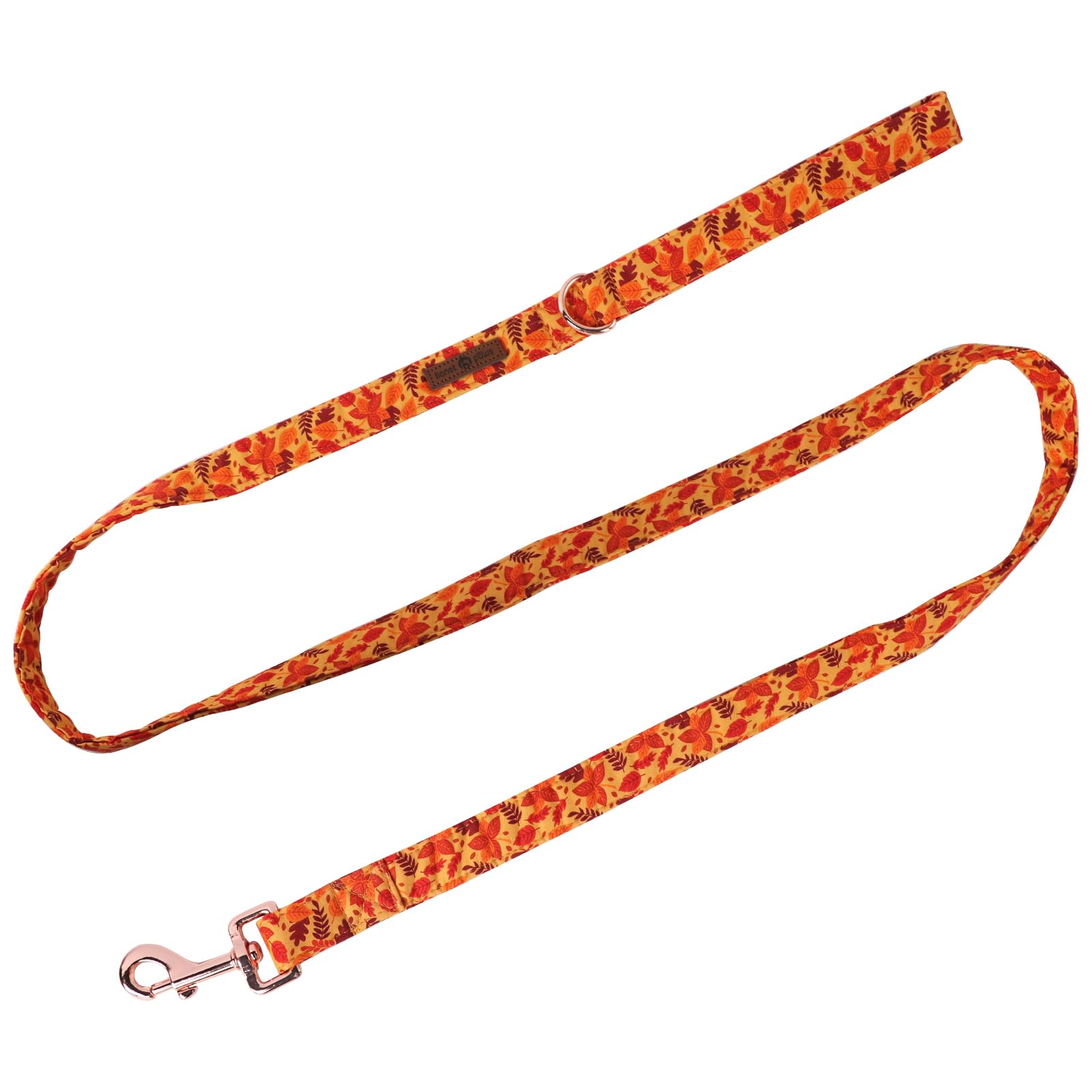 Lionet Paws Dog Leash For Small Dogs, Red, 5/8In X 4Ft