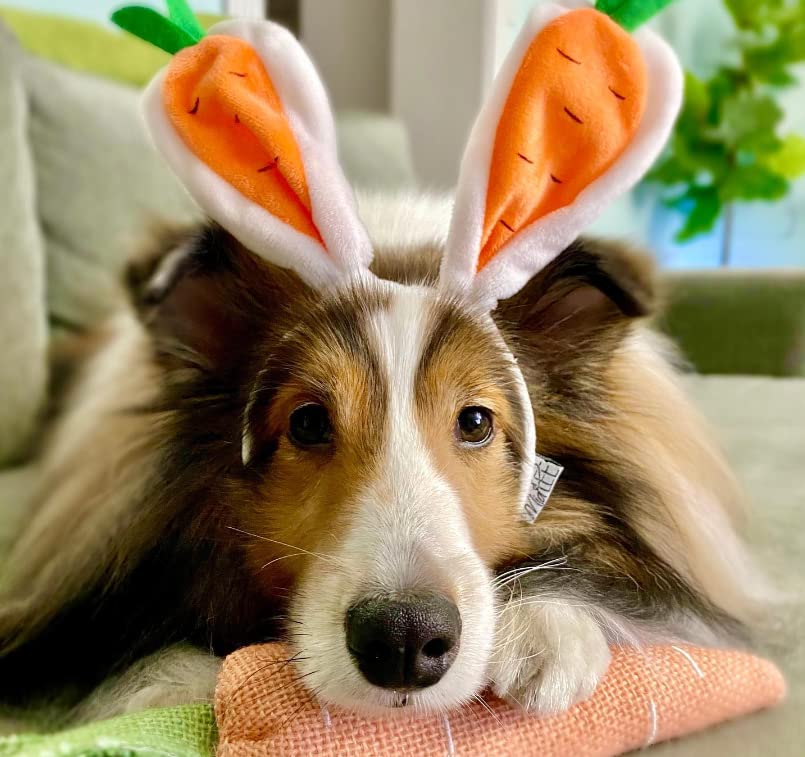 Midlee Carrot Bunny Ears Easter Dog Headband Costume (Large)
