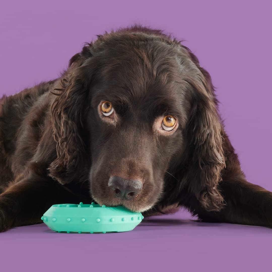 Yomp ChillChew Freezable Dog Toy - Cooling Toy for Dogs - Dog Frozen Treat Toy for Soft & Medium Chewers- Chill and Chew Puppy T