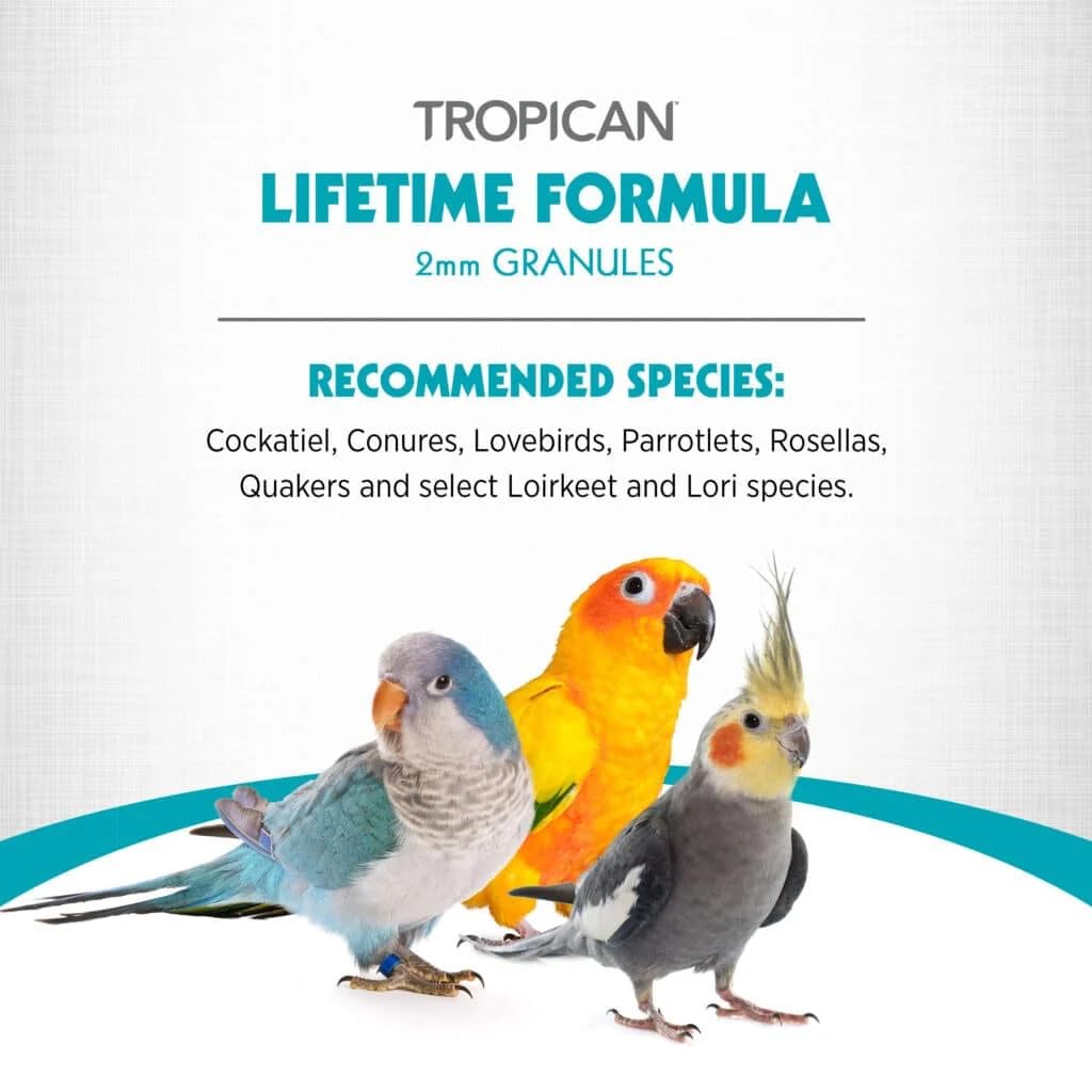 HARI Tropican Bird Food, Hagen Parrot Food with Peanuts & Sunflower Seeds, Maintenance Parrot Granules 2 mm, Lifetime Formula, 1