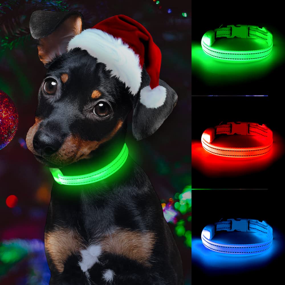 Light Up Dog Collar For Small Dog,Vizpet Xs Adjustable Size Nylon Collar Usb Rechargeable Bright Safety Pet Collar For Cats Dogs (Green)