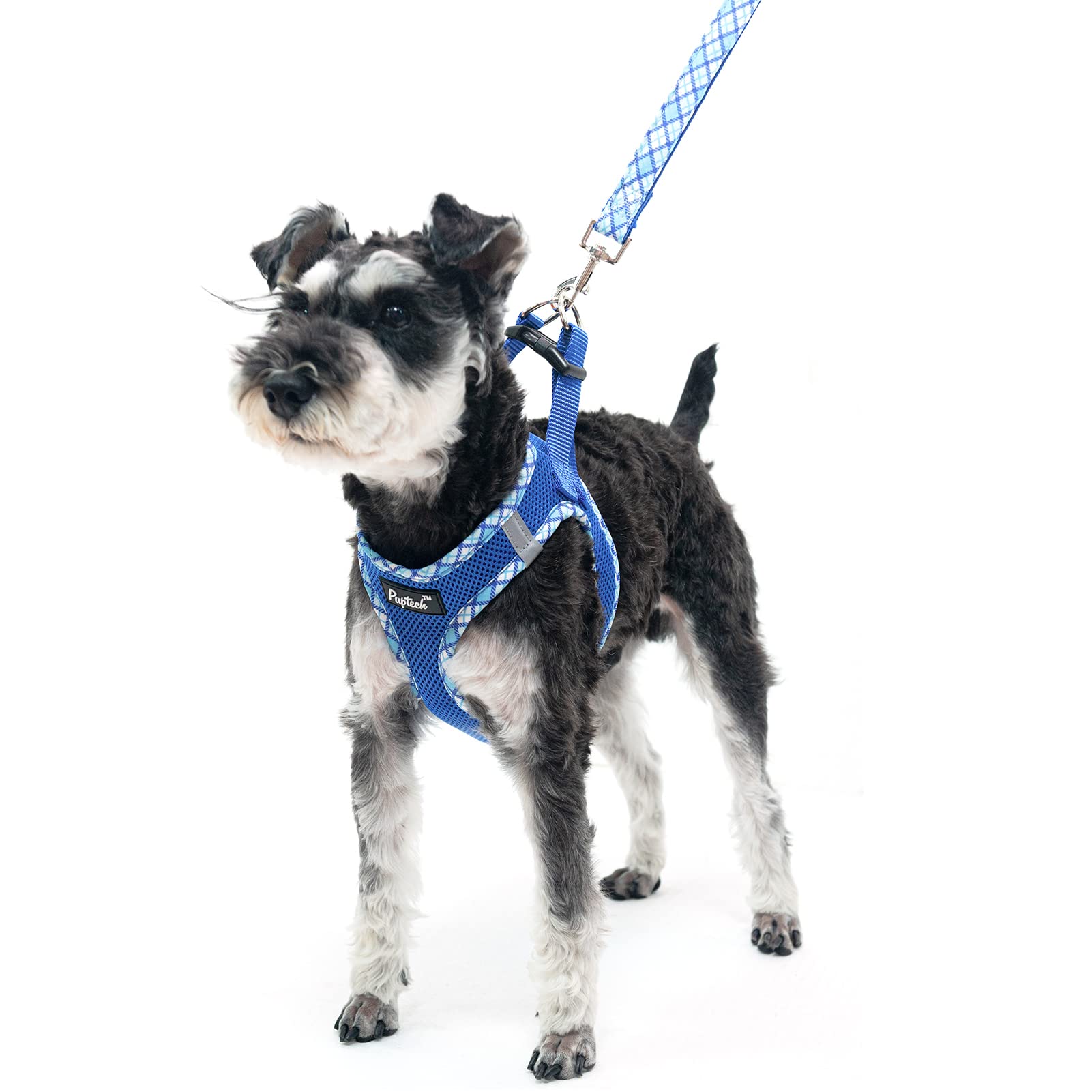 Pupteck Dog Harness And Leash Set For Small Medium Dogs No Pull Step-In Soft Mesh Puppy Cat Vest Harnesses Reflective At Night, Blue Xs