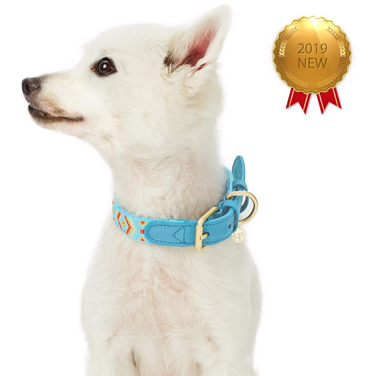 Blueberry Pet 3 Patterns Southwestern Magical Tribal Print Genuine Leather & Polyester Fabric Combo Dog Collar with Metal Buckle