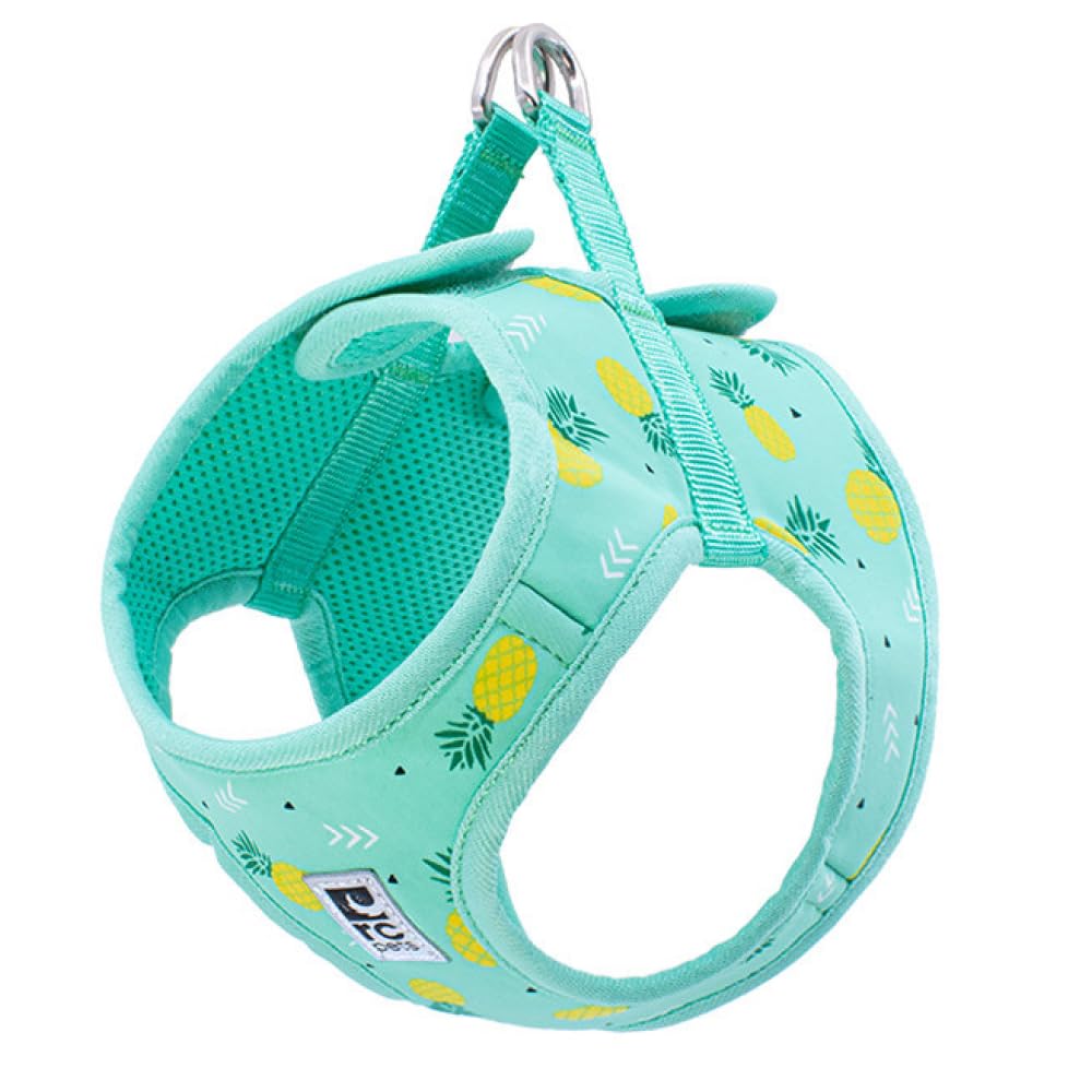 RC Pet Products Cirque Soft Walking Step-in Dog Harness, Pineapple Parade, XX-Small