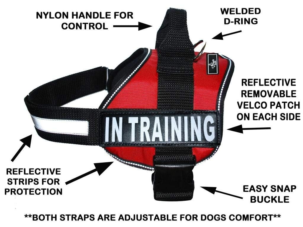 Doggie Stylz In Training Service Dog Harness With Removable Saddle Bag Backpack Pack Carrier Traveling Carrying Bag. 2 Removable In Training Patches. Please Measure Dog Before Ordering. Made