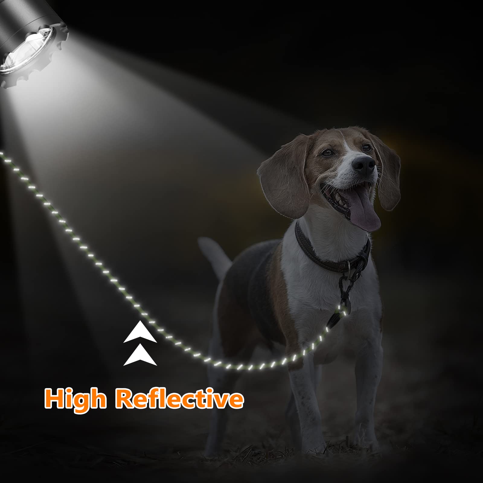 Ntr 100Ft Leashes For Large Breed Dogs, Long Leash With 2 Swivel Hooks And Comfortable Padded Handle, Puppy Leash Lead For Walki