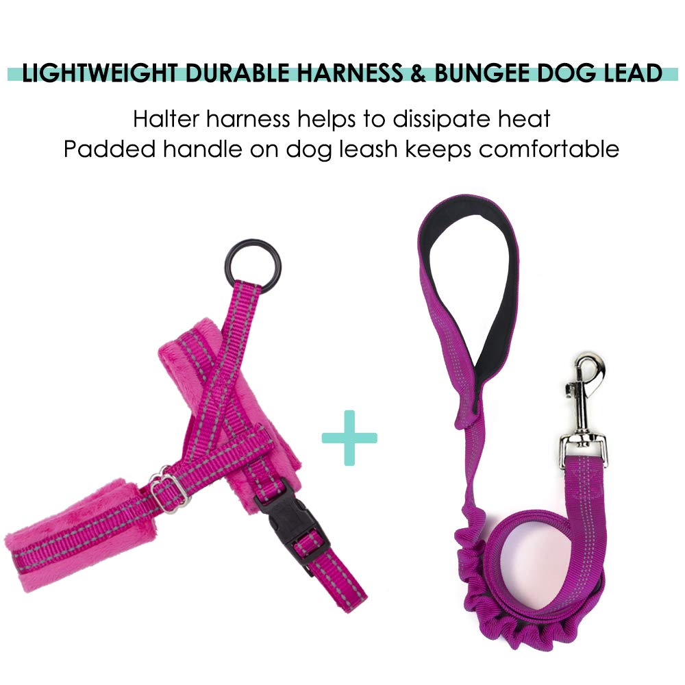 Slowton No Pull Small Dog Harness And Leash Set, Puppy Soft Vest Harness Neck & Chest Adjustable, Reflective Lightweight Harness & Anti-Twist Pet Lead Combo For Small Medium Dogs(Fu,L)