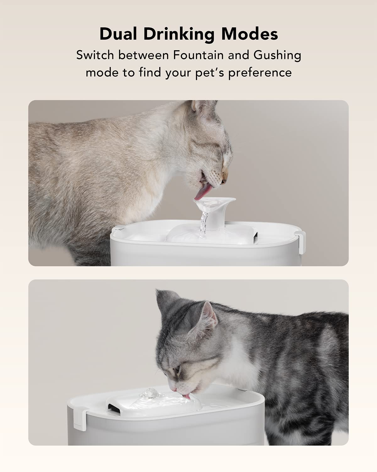 Petlibro 8 Packs Replacement Filters For Dockstream Cat Water Fountain Plwf005 Plwf115 Plwf105, 4 Months Set Of Replacement Filters For Ultra Quiet Pet Water Fountain