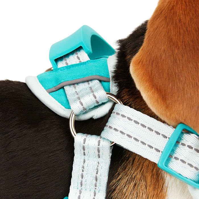 Everyyay Easy On Training Dog Harness Blue Small