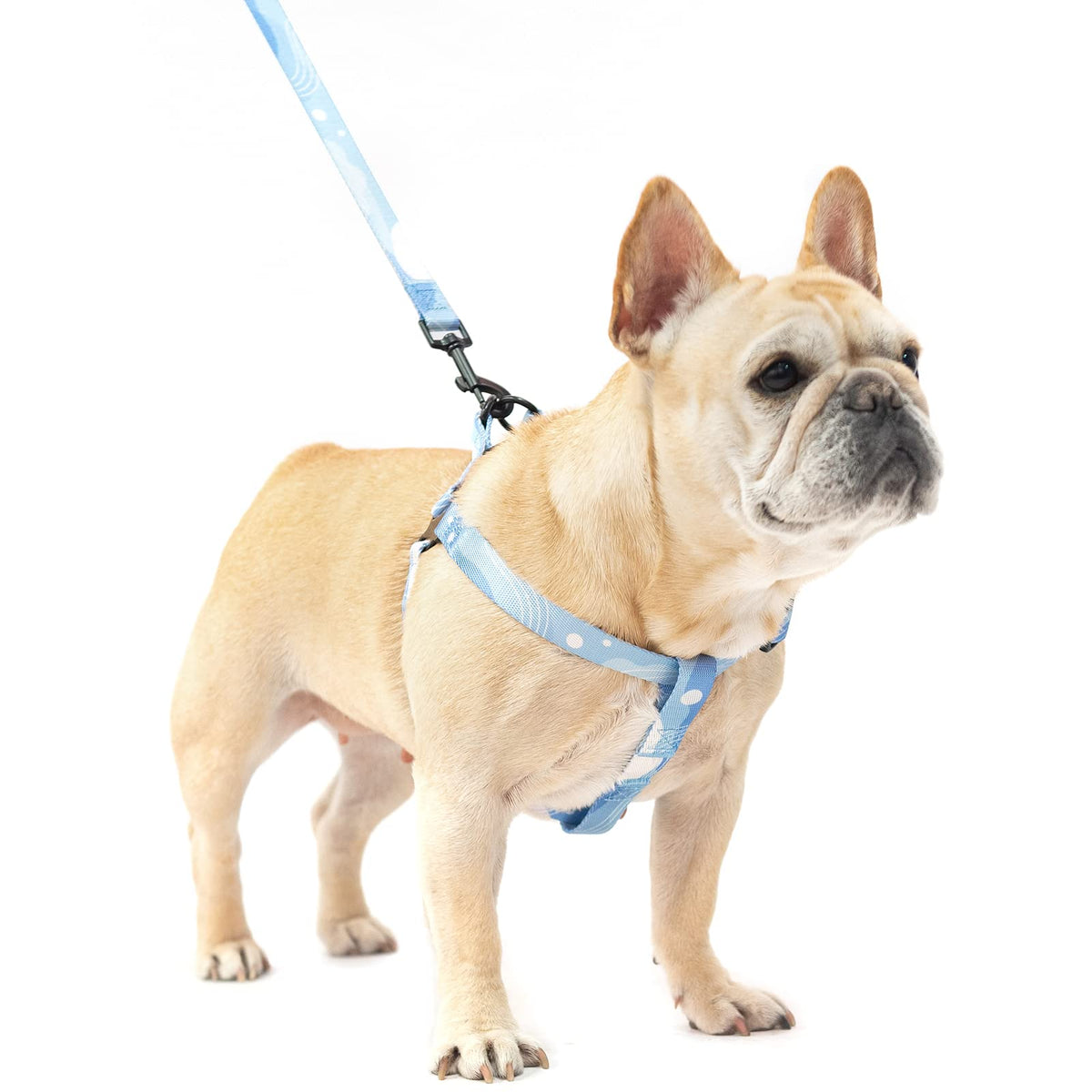 Pupteck Dog Harness And Leash Set No Pull Step In Soft Adjustable Pet Harnesses For Small Medium Dogs Outdoor Walking Training, 