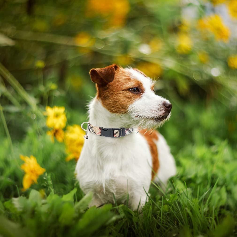 Pupteck Adjustable Pet Harness Collar And Leash Set Step In For Small Dogs Puppy And Cats Outdoor Training And Running, Soft Mesh Padded Reflective Vest Harness