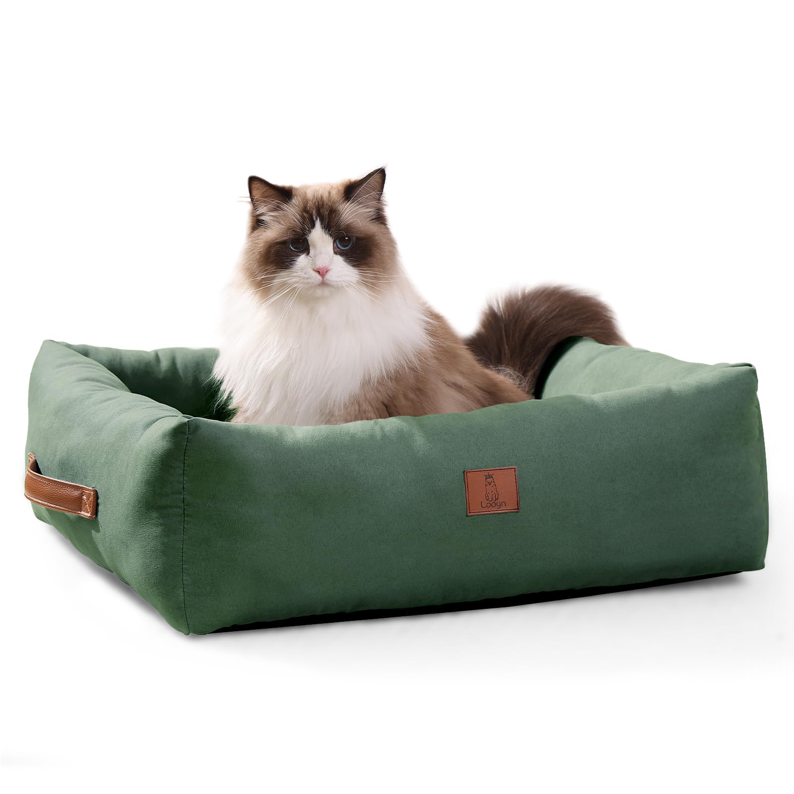 Looyn 20In Dog Bed For Small Dogs & Cats - Washable Rectangle Cat Kitten Bed For Indoor Pets, Cozy Cute Puppy Bed With Non-Slip 