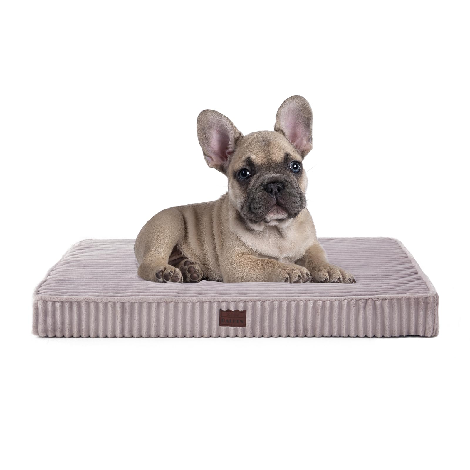 Orthopedic Dog Beds For Small Dogs - Soft Plush Washable With Egg Crate Foam, Waterproof & Removable Cover, Anti-Slip Bottom, Co