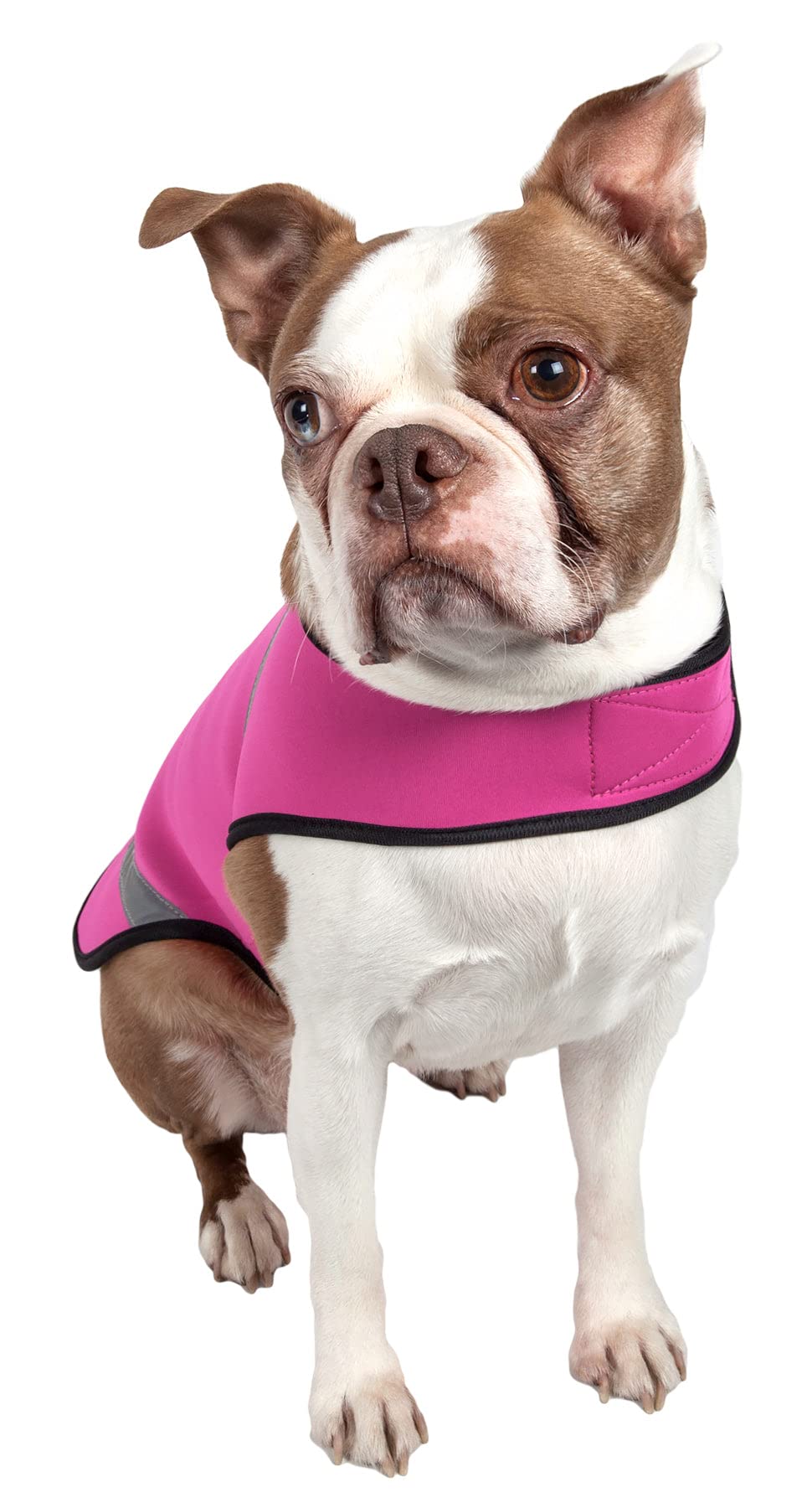 Pet Life Extreme Softshell Neoprene Dog Coat - Dog Jacket with Reflective Taping and Dog Rash Guard Protection for Small Medium