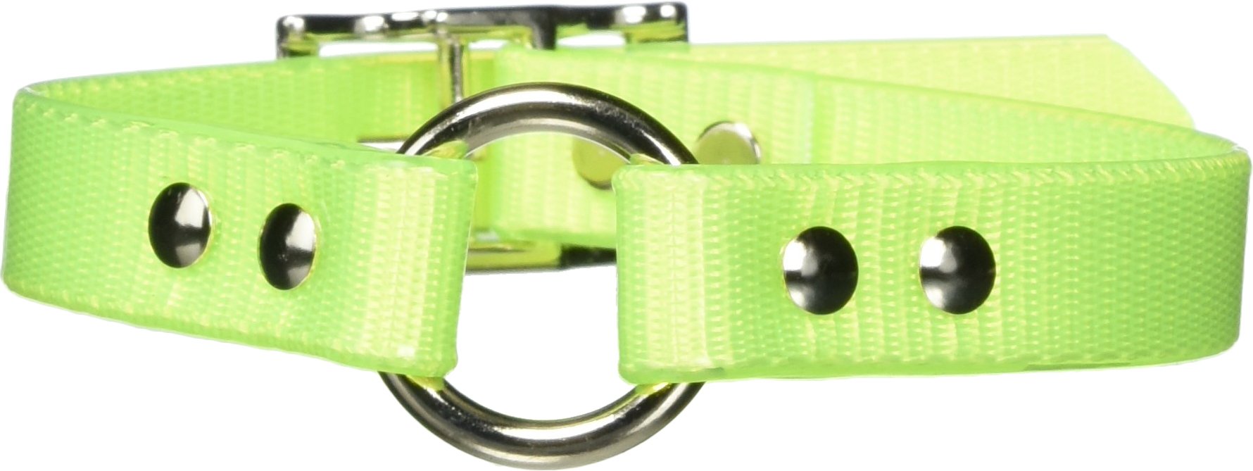 Omnipet Sunglo Ring-In-Center Dog Collar, 3/4' Wide, Yellow, Fits 11.5'- 15' Neck Sizes, Vibrant Colors & Tough Construction 