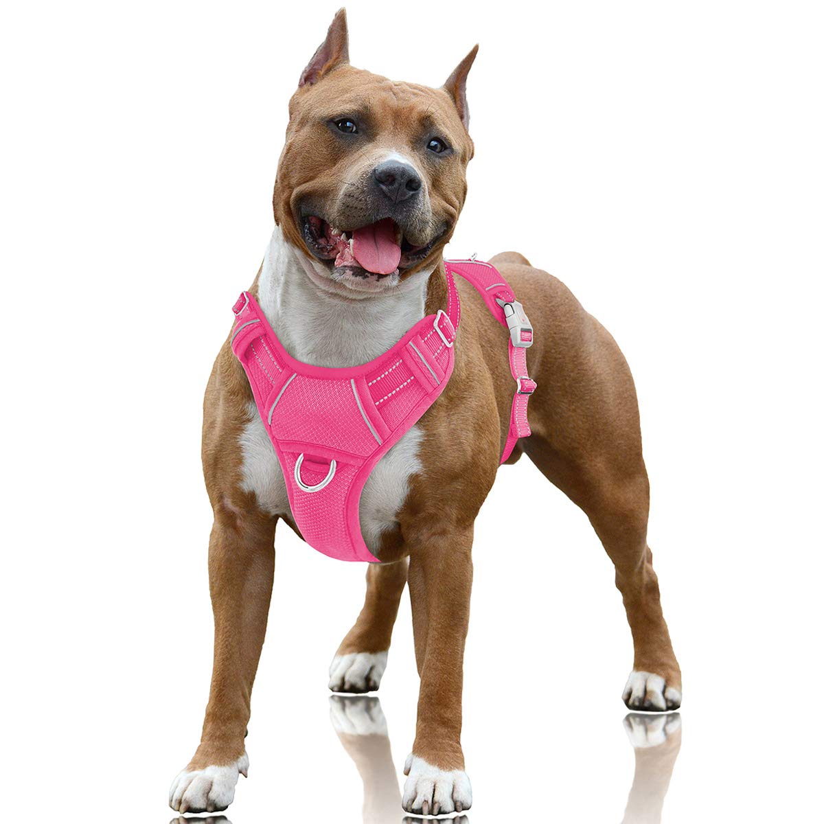 Barkbay No Pull Dog Harness Large Step In Reflective Dog Harness With Front Clip And Easy Control Handle For Walking Training Ru