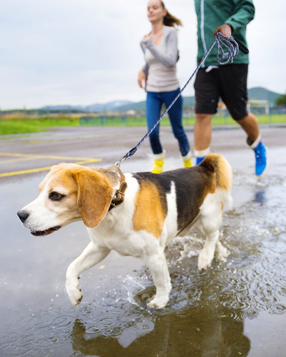 (2 Pack) Long Dog Leash For Dog Training 15Ft/30Ft/50Ft, Dog Rope Check Cord With Reflective Thread For Large Medium Small Dogs, Dog Tie-Out Cable Lead For Hunting, Camping Or Backyard