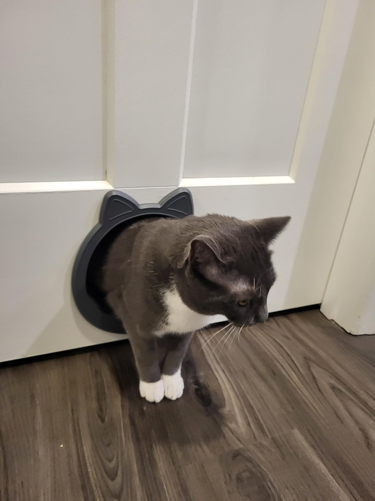 Caremyworld Large Cat Door Interior Door, No-Flap Cat Door For Interior Door, Pet Door For Cats, Easy Diy Setup, No Training, Up To 22 Lbs, Easy To Install(Smoky Gray)