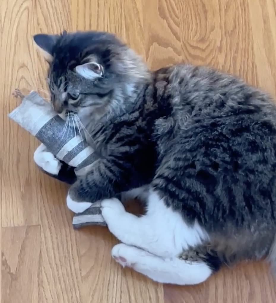 All Natural Kitty Catnip Kicker Handmade Cat Toy (9 Inch, Black & Brown Stripe)