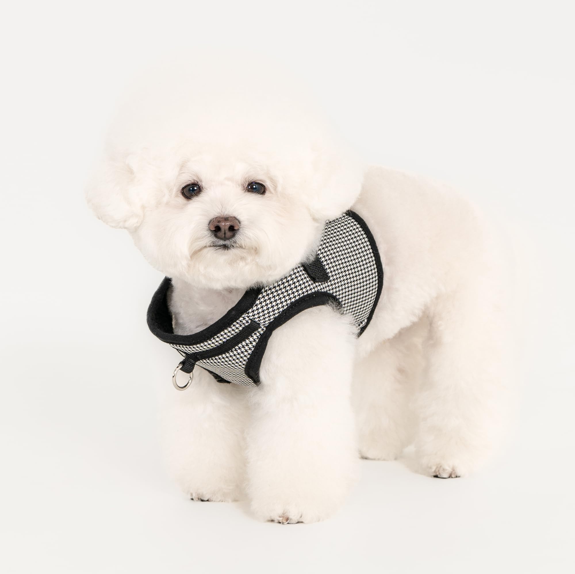 Puppia Amatus Dog Vest Harness B (Step-In) Fashionable Houndstooth Pattern Spring Summer Harness For Small And Medium Dogs, Blac