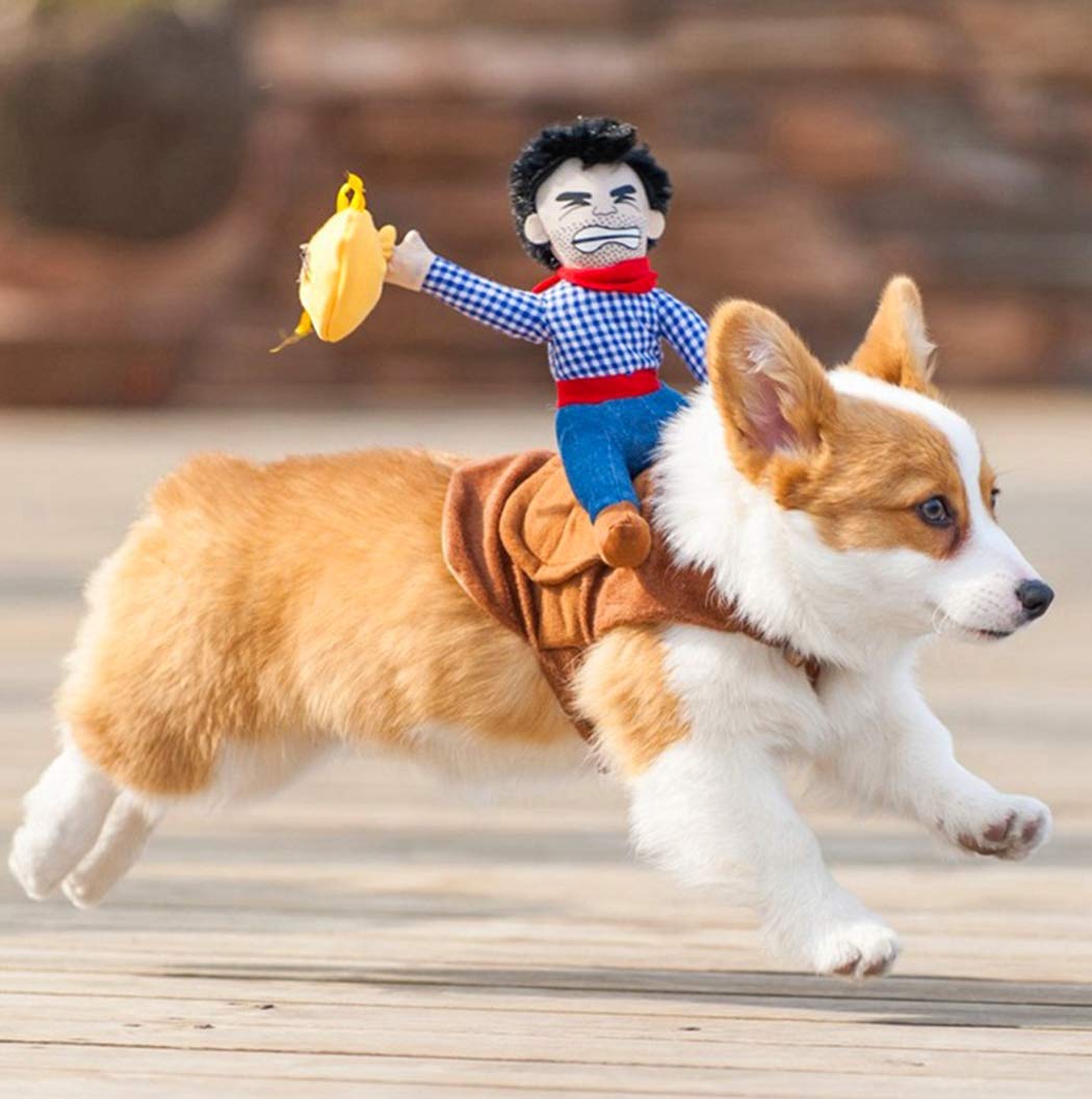 Xiaoyu Pet Dog Cat Halloween Costume, Riding Horse Style Costume, Funny Pet Knight Style Clothing for Dog Cat Cosplay, L