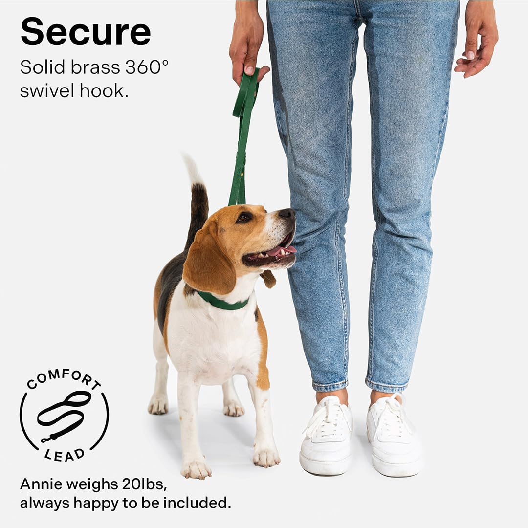 Scout Supply Classic Leather Dog Leash | Strong Heavy Duty Thick Full Grain Leather | Waterproof & Rust-Proof Brass Hardware (Gr