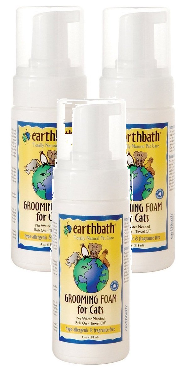 Earthbath Hypo Allergenic Cat Foam 4Oz
