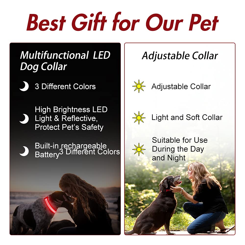 Yfbrite Ultra Light Usb Rechargeable Led Dog Collar - Adjustable Light Up Dog Collar - Waterproof Dog Collar - Flashing Dog Collar Visiblity & Safety For Your Dogs (Red, Small)