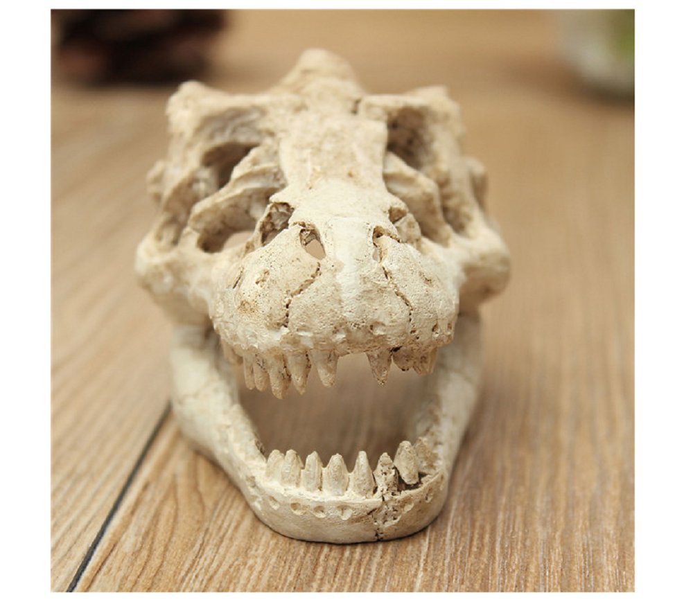 Aquarium Decoration Skeleton Hole Resin Artificial Dinosaur Skull Skeleton Ornament - Fish Tank Small Skull Aquarium Decorations Cave Landscape Pet Reptile House