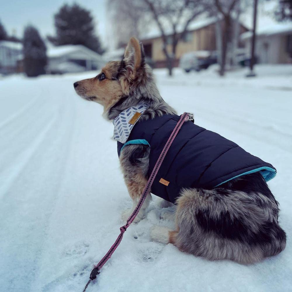 Gooby Padded Vest Dog Jacket - Solid Black, X-Small - Warm Zip Up Dog Vest Fleece Jacket With Dual D Ring Leash - Water Resistant Small Dog Sweater - Dog Clothes For Small Dogs Boy And Medium Dogs