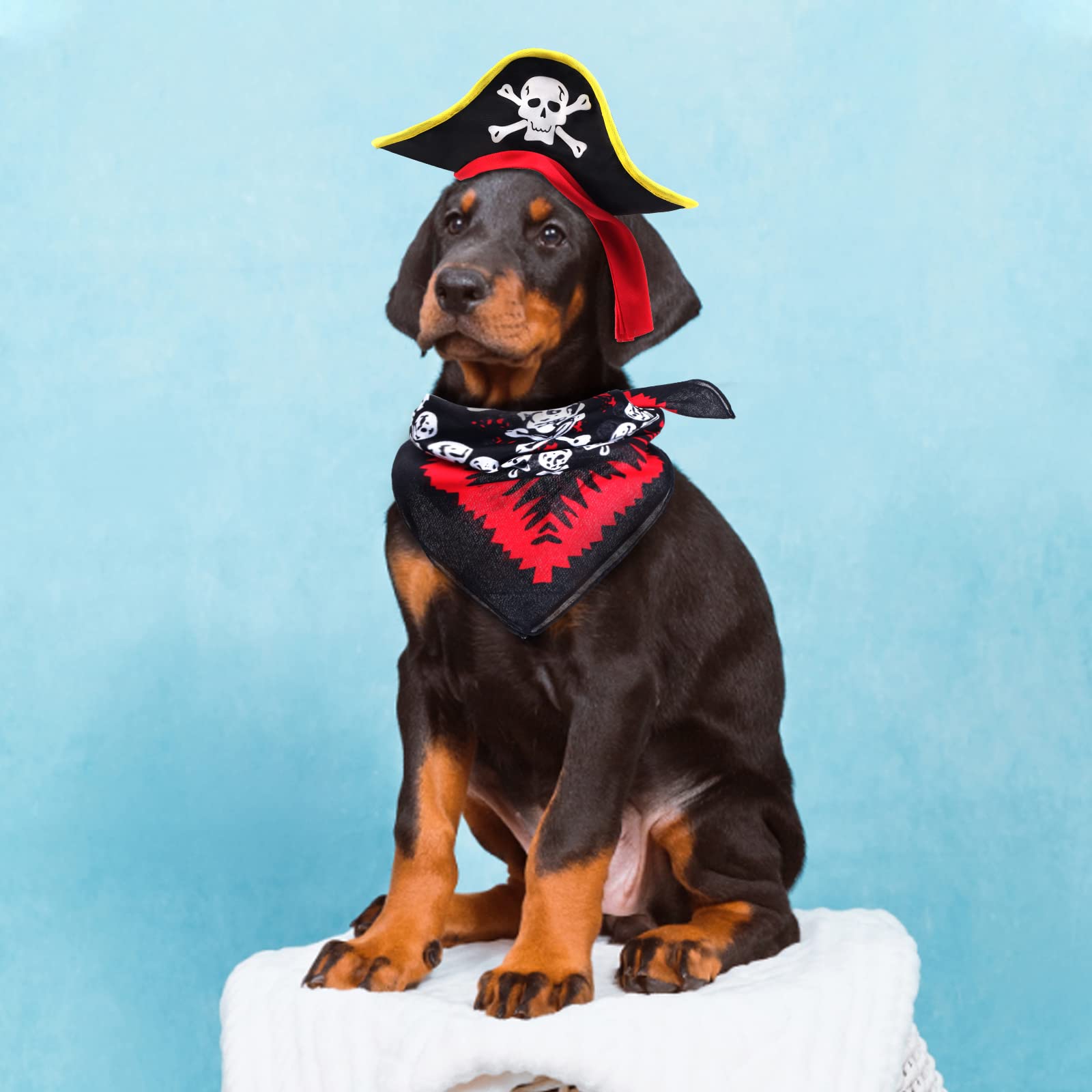 Aichiyu 2 Pieces Skull Print Pet Pirate Hat With Pirate Skull Bandana Dog Cat Captain Cap Halloween Pirate Cosplay Costume Halloween Party Hat Dress Up Costume Accessories (A) One Size