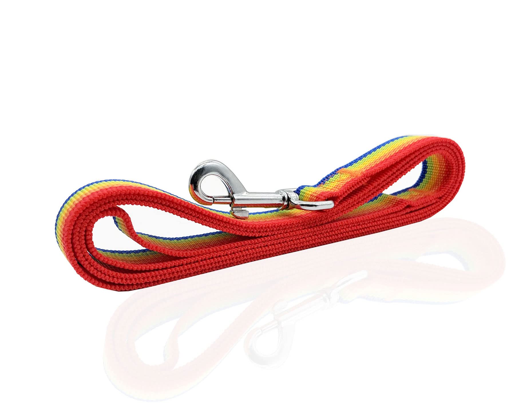 Nylon Dog Leash 12 Feet Long, Walking Training Dog Leashes For Medium Large Dogs(1'' X 12 Ft, Rainbow)
