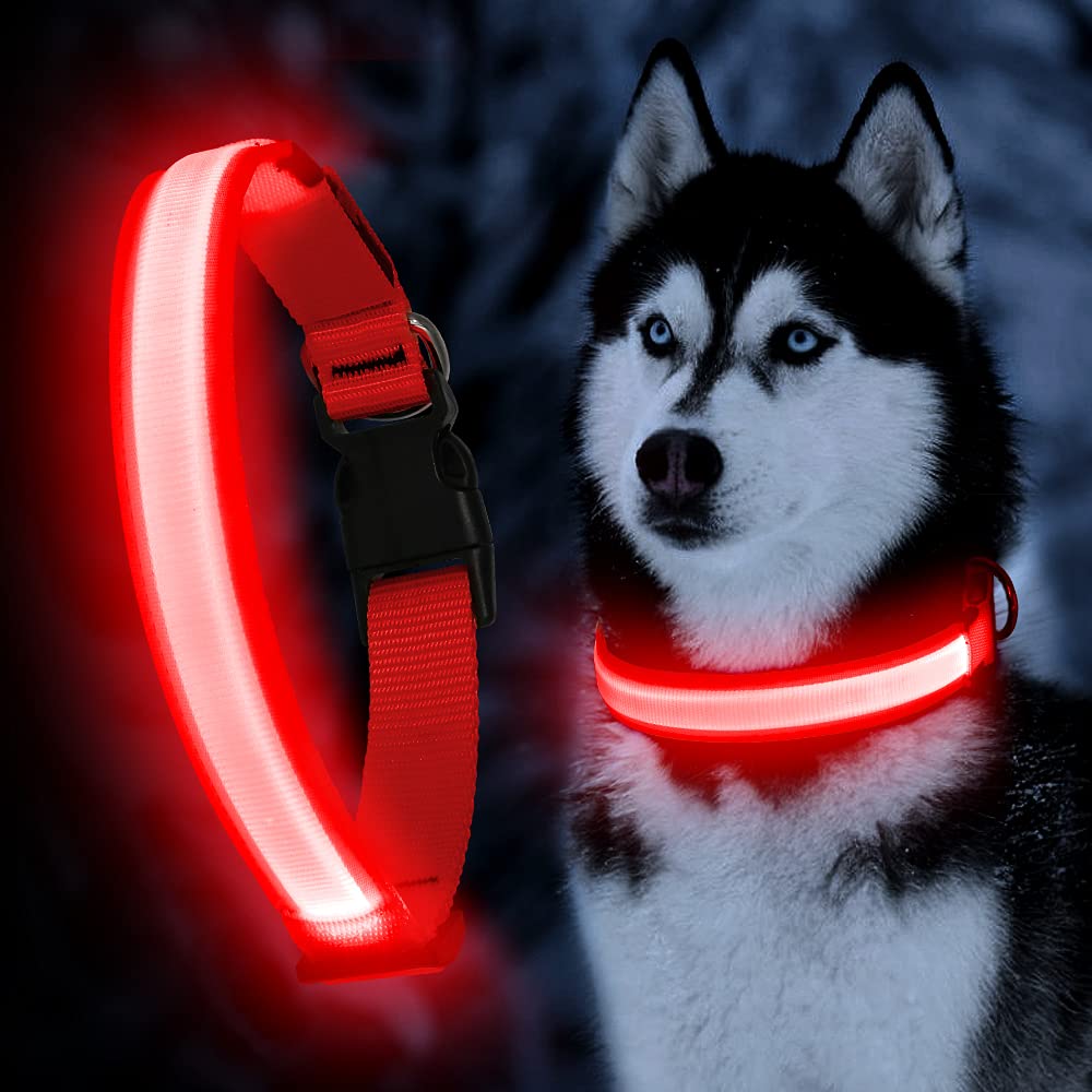 Yfbrite Ultra Light Usb Rechargeable Led Dog Collar - Adjustable Light Up Dog Collar - Waterproof Dog Collar - Flashing Dog Collar Visiblity & Safety For Your Dogs (Red, Small)