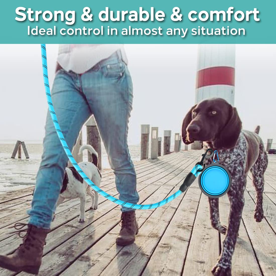 COOYOO 2 Pack Dog Leash 5 FT Heavy Duty - Comfortable Padded Handle - Reflective Dog Leash for Medium Large Dogs with Collapsibl
