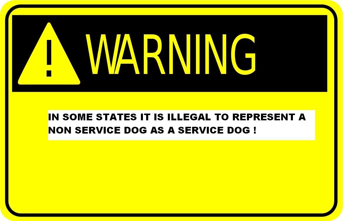 Albcorp Reflective Service Dog In Training Patches With Hook And Loop Backing For Service Animal Vests /Harnesses Xxs Or Extra Small (3.5 X 1) Inch