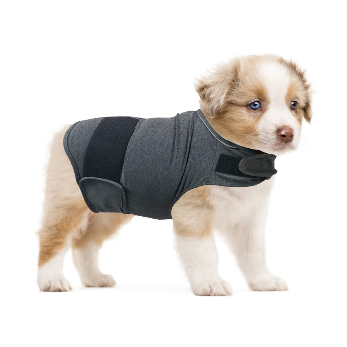 Qiyadin Dog Comfort Dog Anxiety Relief Coat, Breathable Shirts For Dogs, Dog Anxiety Vest Jacket Warp, Puppy Anxiety Calming Vest Wrap (Xs)