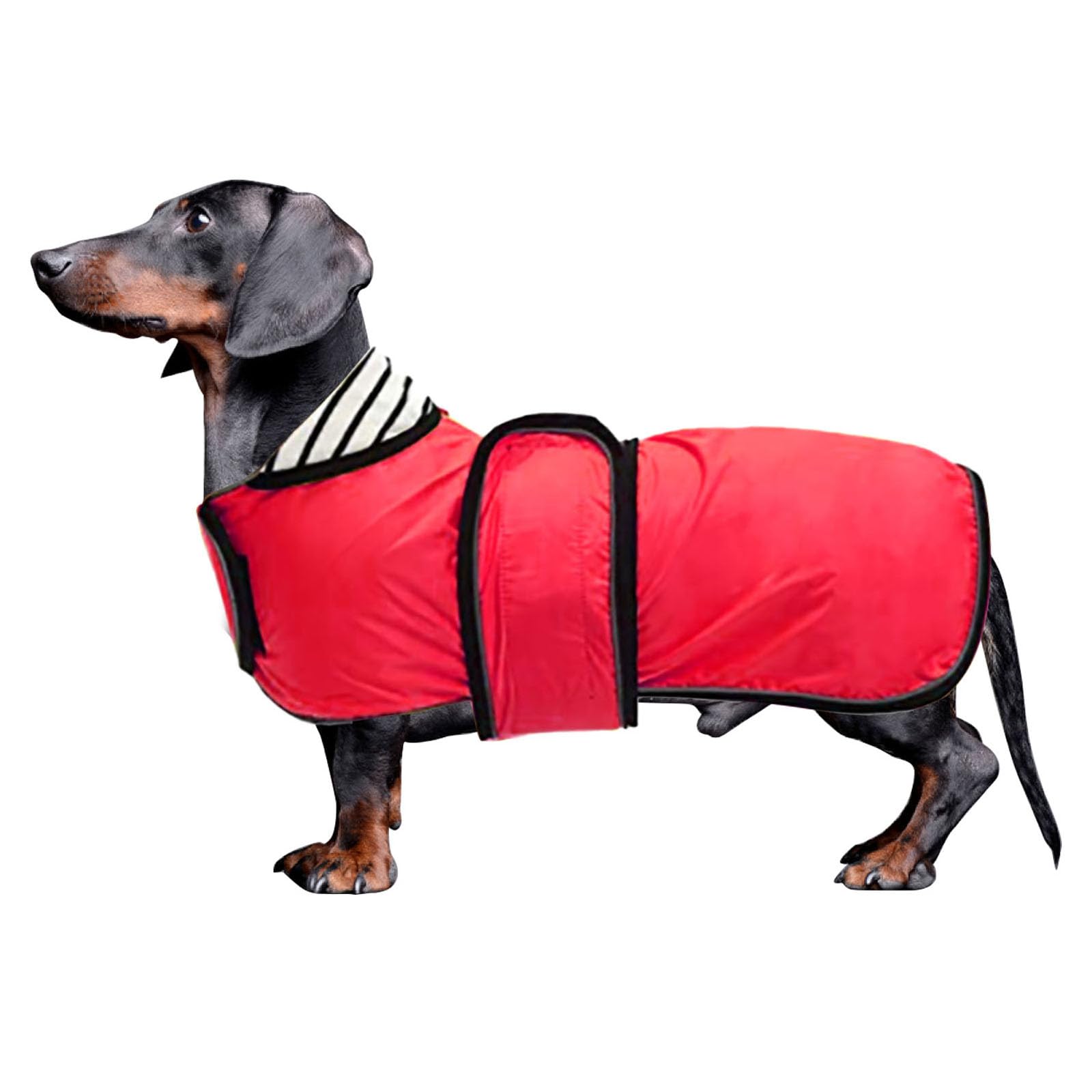 Dachshund Raincoat Waterproof, Perfect For Dachshund Sausage Weiner Long Back Breeds With Reflective Stripe Rain Coat For Dogs Great Coverage In Autumn Winter - Red - Xs