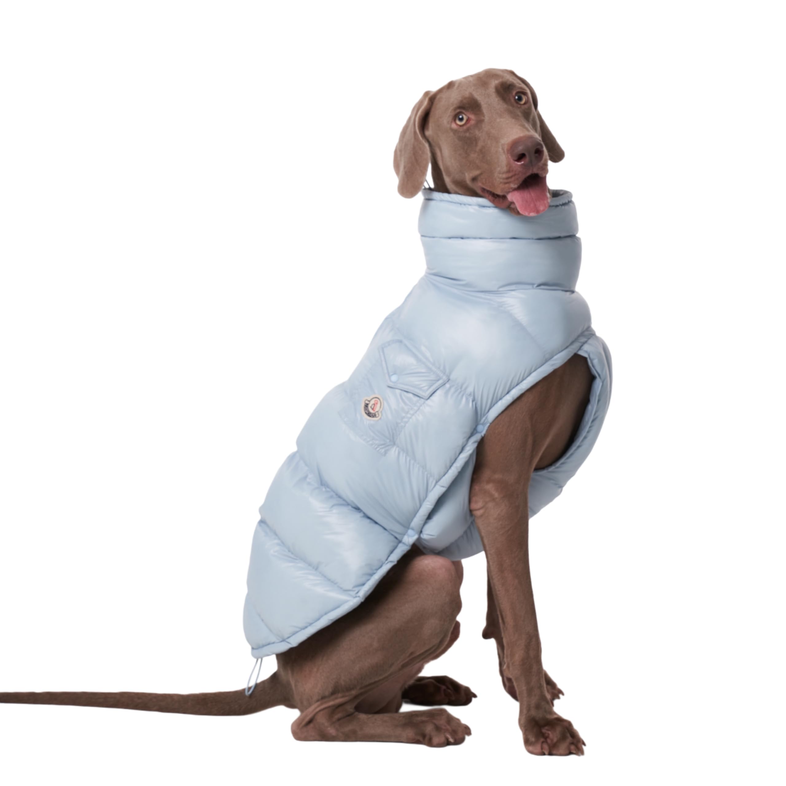 Chochocho Winter Dog Jacket, Cold Weather Coats, Lightweight, Thermal Insulated, Water-Resistant, Adjustable Dogs Jackets With L