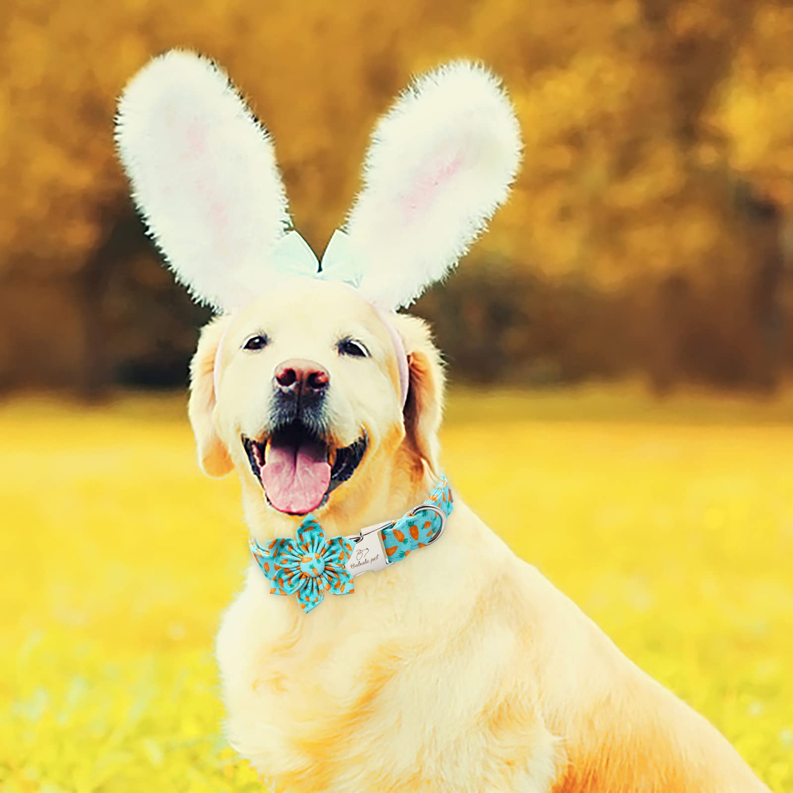 Babole Pet Dog Collar Easter Gift With Flower Tie,Carrot Male Dog Collar With Safety Metal Buckle Adjustable Puppy Collars For Small Medium Large Boy & Girl Dog,L-Neck 16'-24'