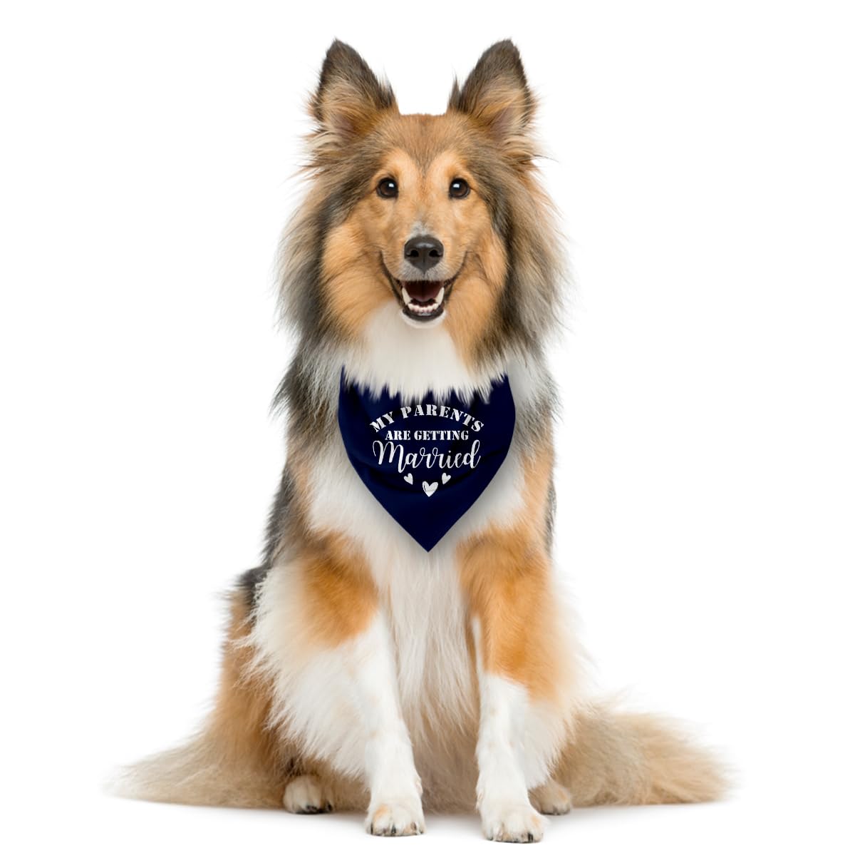Dark Blue Dog Bandana, My Parents Are Getting Married Wedding Announcement Dog Bandana, Pet Triangle Scarf Accessories, Dogs Ban