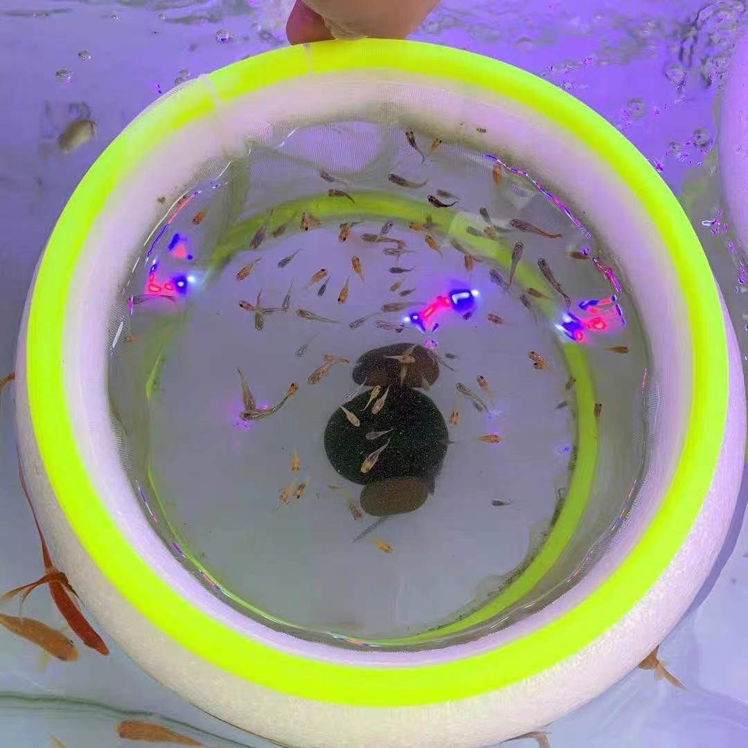 2 Units Aquarium Fish Hatchery Isolation net, Aquarium Fish Breeder Tank Isolation Hatching Net Box, a Large Aperture net and a