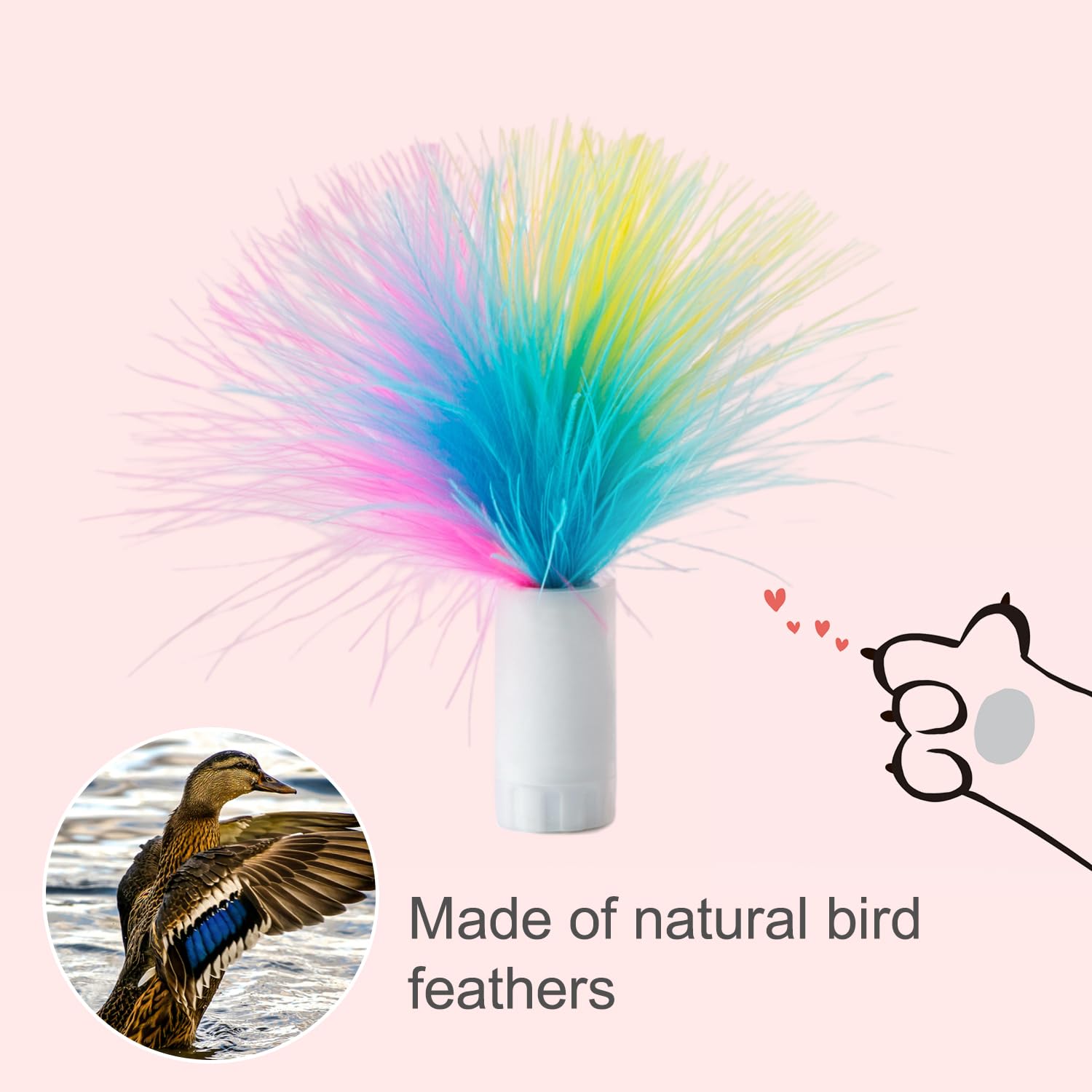 Orsda 6Pcs Feathers Replacement Only Interactive Cat Toys