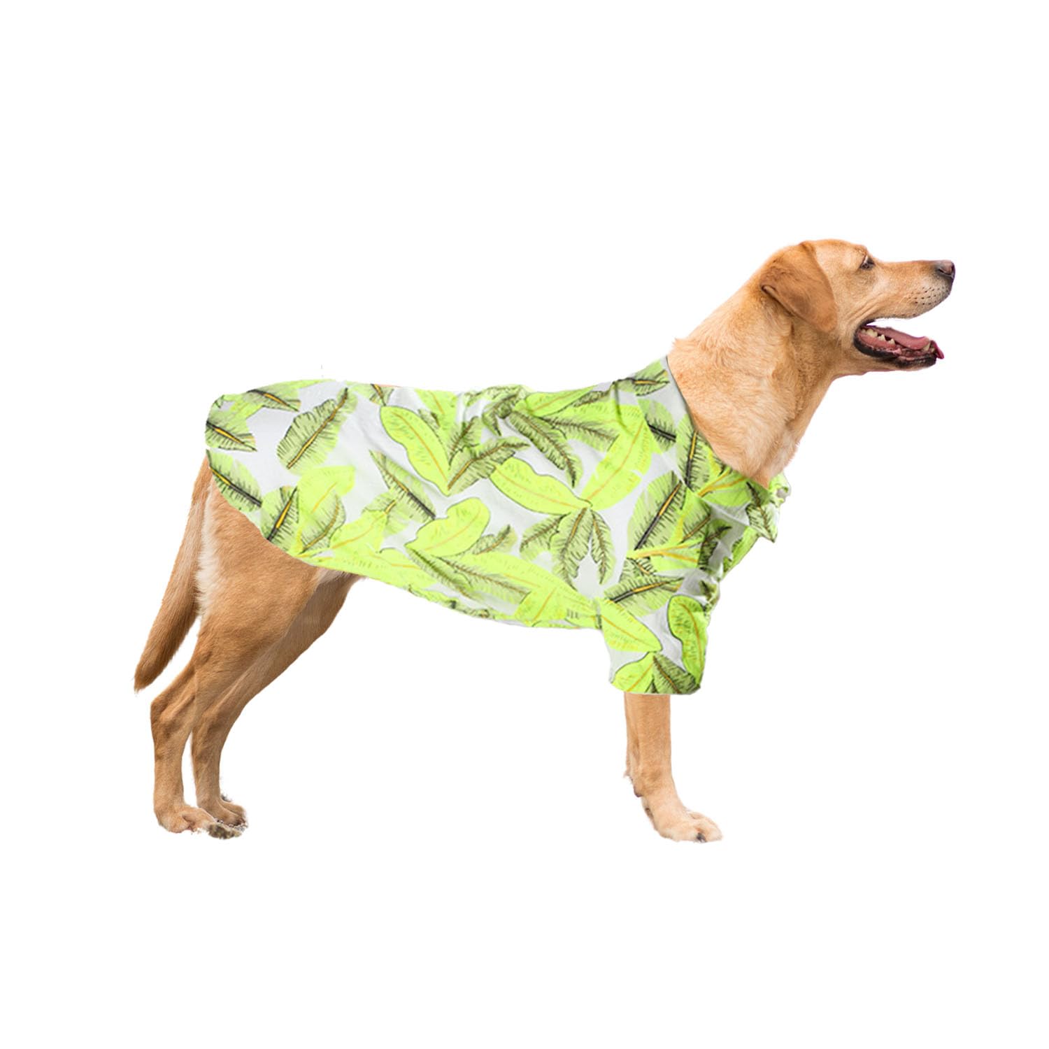 Harikaji Dog Hawaiian Shirt, Summer Pet Clothes Large Dog Cool Costume Beach T-Shirt For Medium Large Dog (Yellow Leaves,3Xl)