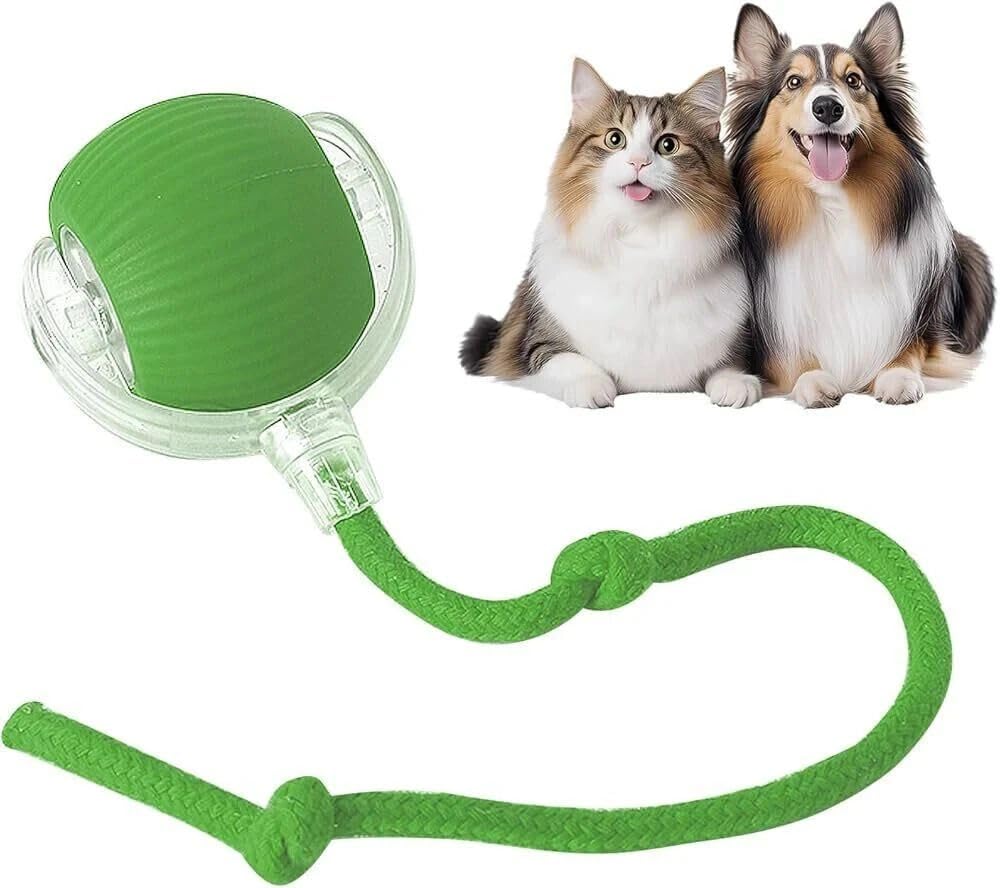Agirav Cat Toy Rolling Ball