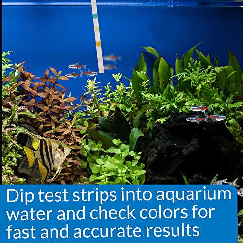 Api 5-In-1 Test Strips Freshwater And Saltwater Aquarium Test Strips 4-Count Box