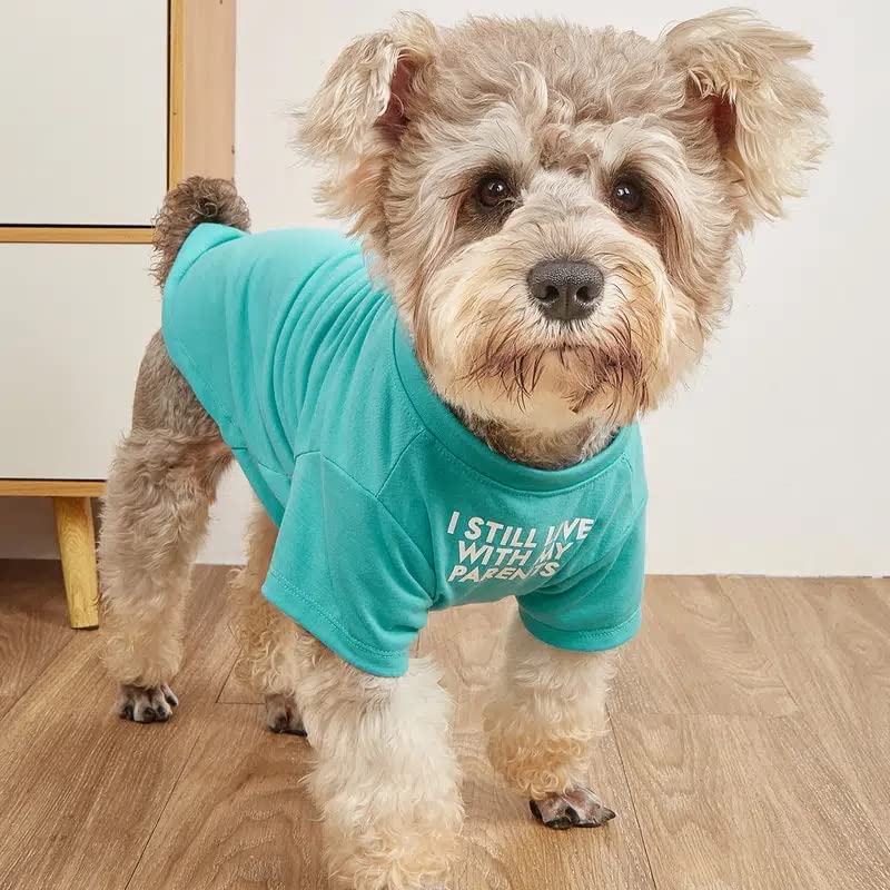 Cute Dog Clothes,Dog T Shirt For Medium Dogs.Dog Clothes For Small Dogs Girl Boy,Puppy.Breathable Soft Dog Costume Pet Dogs Cats,Pet Pullover Jumper,Cat Clothes (L-(10~17Lb), Chest~18', Aqua)