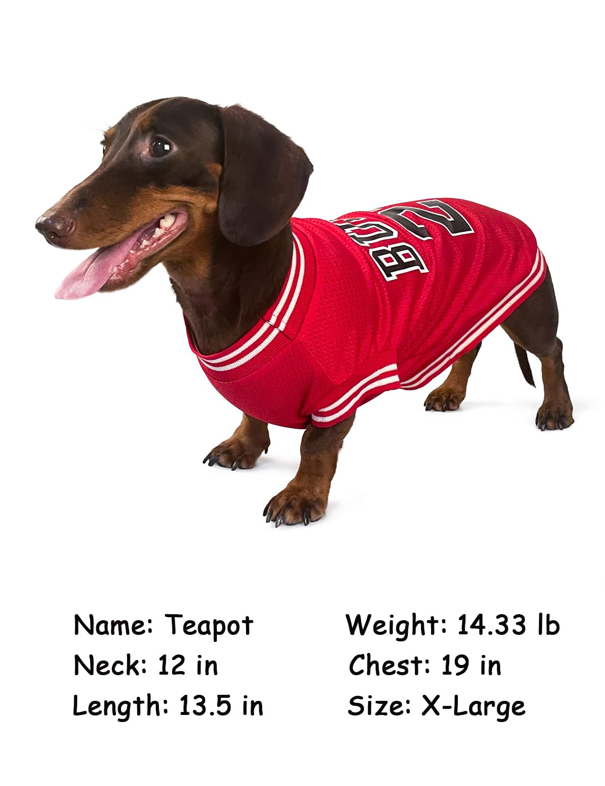 Dog Clothes Basketball Mesh Breathable T-Shirt,Pet Clothes Puppy Sportswear Spring/Summer Fashion Dog Shirt. (Red, Small)