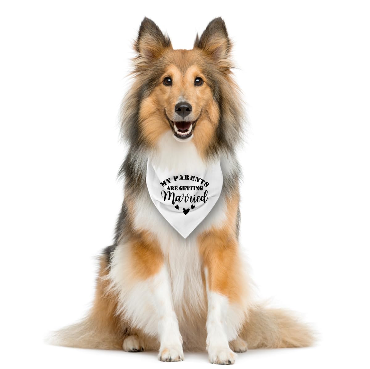 White Dog Bandana, My Parents Are Getting Married Wedding Announcement Dog Bandana, Pet Triangle Scarf Accessories, Dogs Bandana
