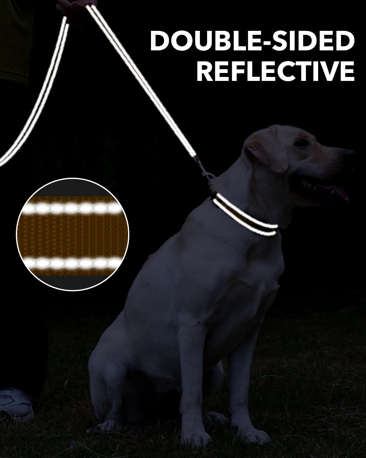 Taglory Nylon Dog Leash 6Ft, Soft Padded Handle Pet Reflective Leashes For Puppy Small Medium Dogs Walking & Training,Tan